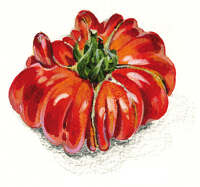 Beefsteak tomato acrylic on board